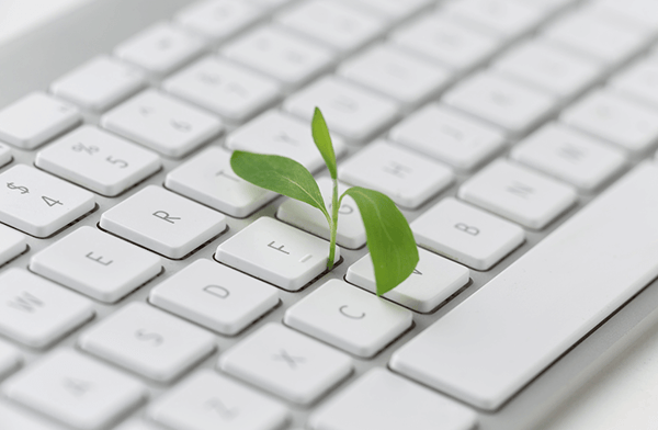 planta creciendo de teclado